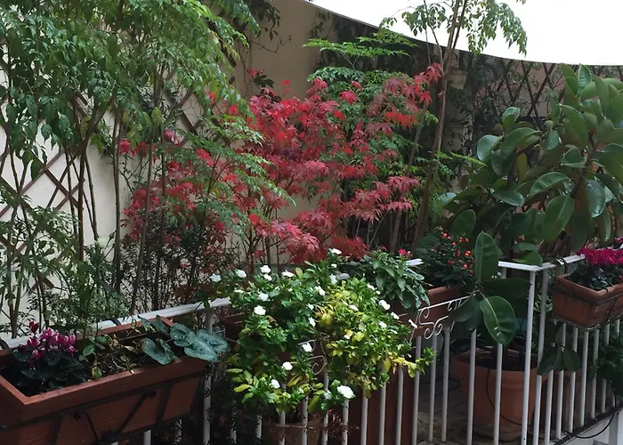Bed and Breakfast Relais Teatro Argentina Roma